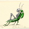 Insecte 1