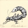 Insecte 3