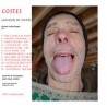 Langues de chats - CDr 2010