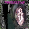 Prédestiné - CDr 2020